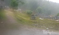 Điều tra vụ án mạng trong đêm ở nghĩa trang