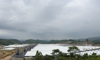 Đình chỉ hoạt động trang trại chăn nuôi lợn công nghệ cao ở Thanh Hóa 