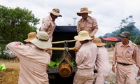 Thêm Quảng Bình phải tạm dừng các dự án rà phá bom mìn do Chính phủ Mỹ dừng viện trợ 