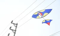 Gỡ diều vướng vào dây điện cao thế, bé trai bị điện giật bỏng nặng