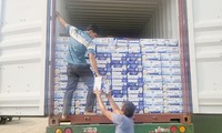Bắt giám đốc công ty nhập lậu sữa từ Mỹ về Việt Nam
