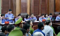 Danh sách các công ty thẩm định giá &apos;tiếp tay&apos; cho bà Trương Mỹ Lan 