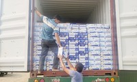 Khởi tố nữ cán bộ hải quan tiếp tay buôn lậu gần 4.200 thùng sữa từ Mỹ vào Việt Nam 