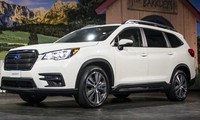 Subaru Ascent 2019 giá từ 30.000 USD cạnh tranh Honda Pilot