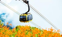 Cáp treo lên đỉnh Fansipan đóng cửa gần một tháng