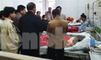 Vụ nam sinh Lào Cai bị chó cắn: Xử phạt chủ chó 1,5 triệu đồng