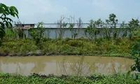 Nhiều nhà tôn, cây ăn trái &apos;mọc&apos; trong đất quy hoạch cao tốc ở Cần Thơ