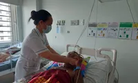 Một người tử vong, hai người nhập viện nghi do ăn cá nóc