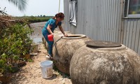 Kiên Giang – Cà Mau khẩn cấp phòng chống hạn, mặn