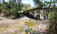 Tiền Giang công bố khẩn cấp về thiên tai xâm nhập mặn, thiếu nước