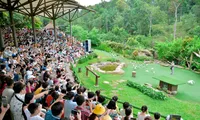 Du lịch Phú Quốc bội thu dịp Tết 
