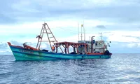 Liên tiếp bắt giữ tàu cá chở lượng lớn dầu lậu trên biển Tây Nam