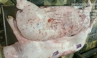 Sóc Trăng kiểm tra cửa hàng của C.P Việt Nam sau phản ánh gây xôn xao