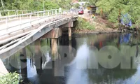 Sông Dương Đông ở Phú Quốc đen ngòm, người dân bị ‘tra tấn’ bởi mùi hôi