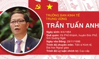 Chân dung Trưởng Ban Kinh tế Trung ương Trần Tuấn Anh