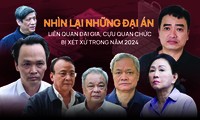 Nhìn lại những đại án liên quan đại gia, cựu quan chức bị xét xử trong năm 2024 