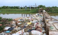 Dịch tả lợn châu Phi đã lan chóng mặt, nhưng Cục Thú y vẫn “án binh bất động” Ảnh Bình Phương