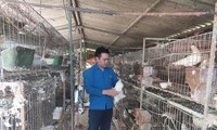 Anh Dũng làm giàu từ trang trại