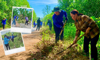 Đoàn viên thanh niên tham gia phát quang hành lang tuyến đường giao thông