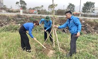 Đoàn viên thanh niên phát động Tết trồng cây, thi đua chào mừng Đại hội Đảng các cấp