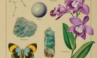 Lắng nghe thông điệp từ vũ trụ, khám phá biểu tượng thú vị về các chòm sao (Phần 3)