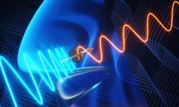 Phát hiện hạt chưa từng biết đến ngay trên mặt bếp 