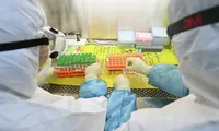 Ảnh minh họa: Internet