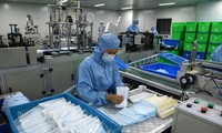 Ảnh minh họa: Internet