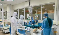 Ảnh minh họa: Internet