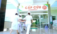 Ảnh minh họa: Internet