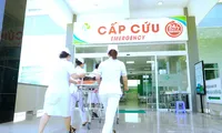 Ảnh minh họa: Internet