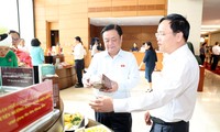 Cà phê Arabica Mường Ảng, cây &apos;xóa đói, giảm nghèo&apos; cho người dân nông thôn miền núi