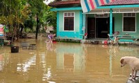 Ngập lụt tại đường Nguyễn Hữu Cảnh, TP Huế. Ảnh: CTV