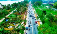 Ngắm xứ Huế khoác ‘áo hoa’ rực rỡ sắc màu ngày Tết