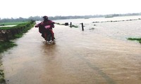 TT-Huế mưa lớn, thủy điện nhận yêu cầu dừng phát điện để chống úng khẩn cấp