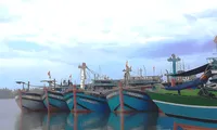 TT-Huế nâng cảnh báo rủi ro thiên tai lên mức 2, cấm người vào rừng, sẵn sàng cho học sinh nghỉ học