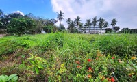 Một doanh nghiệp trúng đấu giá khu đất vàng ven sông Hương với giá ‘khủng’