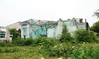 Dự án chỉnh trang khu vực I Kinh thành Huế ngổn ngang, di tích lại &apos;hóa&apos; rừng