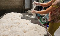 Ngày đặc biệt của làng nghề bún truyền thống xứ Huế