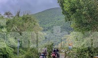 Cây ngã đổ sau bão số 6 gây nguy hiểm trên đèo Hải Vân