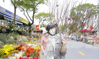 Rộn ràng không khí xuân ở chợ hoa Đà Nẵng