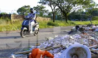 Xà bần, rác thải đổ trộm tràn lan trên đường lên Sơn Trà