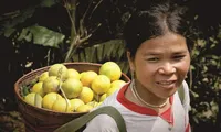 Bà con Cơ Tu ở biên giới Quảng Nam vào mùa &apos;trái vàng đặc sản&apos;