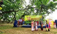 Lễ hội Tam Kỳ - Mùa hoa sưa dời thời gian tổ chức do ảnh hưởng của mưa lũ bất thường.
