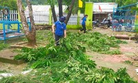 &apos;Áo xanh&apos; phủ khắp các bản làng giúp người dân sau bão Noru