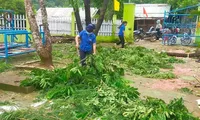 &apos;Áo xanh&apos; phủ khắp các bản làng giúp người dân sau bão Noru