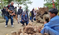 Du khách thích thú xem nghệ nhân Hội An &apos;hô biến&apos; gốc tre, khúc cây thành tác phẩm đặc sắc