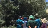 Người đàn ông chết trong tư thế treo cổ trong rừng thông 