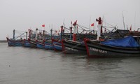 Tỉnh TT-Huế đã kêu gọi 1.915 phương tiện/10.533 lao động vào tránh trú áp thấp an toàn.