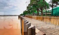 Cây cầu gỗ lim siêu sang tại Huế sau lũ.